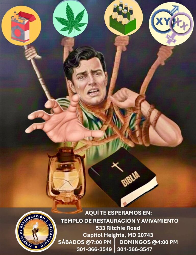 TDRYA15